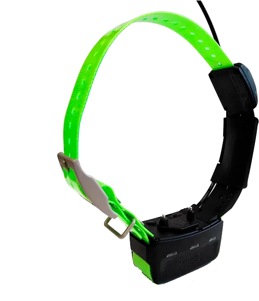 GPS-ошейника Garmin TT15 GPS Collar